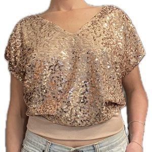 Express. Size XS. Dusty Rose Sequin Top. 🤍